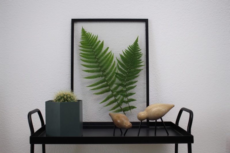 Pflanzen als Kunstobjekt, Housesafari Wohnblog
